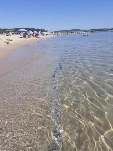 a beach with a body of water and some people at Capri Family Hotel in Primorsko