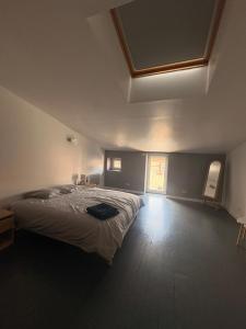a bedroom with a large bed and a window at Maison Spacieuse 3 chambres, billard, proche Zénith, in Pérignat-lès-Sarliève +15 photos