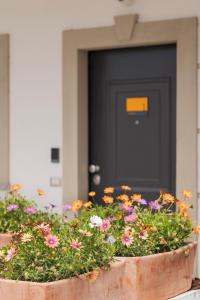 a pot of flowers in front of a door at Zest House Pompei in Pompei