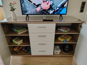 a tv sitting on top of a book shelf at Ferienwohnung Am Wald in Bad Marienberg