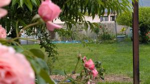 a bunch of pink roses in a yard at Chambre studio in Sublaines