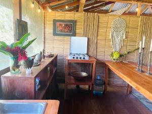 a kitchen with a stove and a counter with a sink at Cedar Loft in Las Pilas
