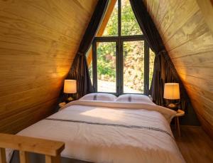 a bed in a room with a large window at Casa Roben in Râu de Mori +60 photos