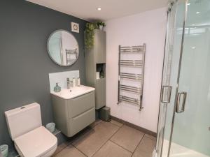 a bathroom with a toilet and a sink and a mirror at The Croft, Home Farm in Ripley +19 photos