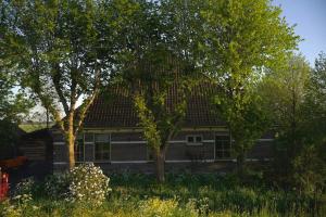 a house with trees in front of it at De IJsvogel in Wijdewormer