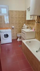 a bathroom with a sink and a washing machine at Holiday Home Ružmarin in Velika Čista +23 photos