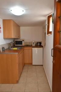 a small kitchen with wooden cabinets and a white appliance at Rogdia Mountain View Apartment in Rogdhiá