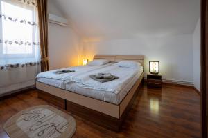 a bedroom with a large bed and a window at Casa Toma in Sovata