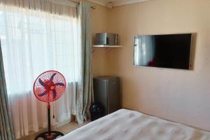 a bedroom with a fan and a television on the wall at Budget Stays at Olivia Pines Guesthouse in Krugersdorp