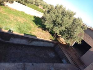 a building with a tree on top of it at immo in Aghmat