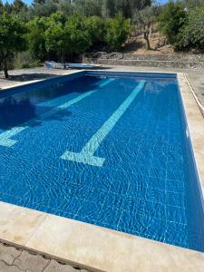 a large blue swimming pool with blue water at Agriturismo Millepini in Peschici