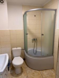 a bathroom with a shower and a toilet and a sink at Cube in Kvasy +81 photos