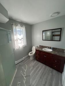 a bathroom with a sink and a toilet and a mirror at Modern Queen St Duplex 4BRs in Charlottetown +19 photos