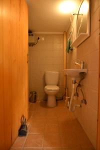 a bathroom with a toilet and a sink at Rogdia Mountain View Apartment in Rogdhiá +5 photos