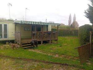 a house with two animals walking in front of it at Camping les sumacs in Combles +1 photo