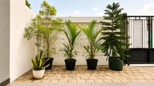 a group of potted plants on a balcony at Griya Mentari Homestay in Yogyakarta