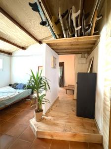 a room with a bed and a potted plant at Casacresta in Carabaño