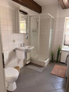 a bathroom with a sink and a shower and a toilet at Kleine-Auszeit am Dom Ferienwohnung für Gäste & Monteure in Halberstadt +4 photos