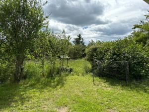 a garden with a net in the grass at Saint varent guest place in Saint-Varent