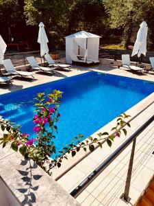 a large swimming pool with chairs and a table and a plant at Casa Milano Krk in Njivice