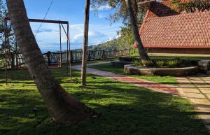 a group of palm trees in a park at Serenity peak cottage Ella in Badulla