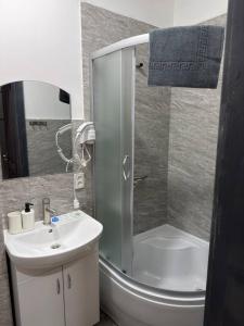 a bathroom with a shower and a sink and a toilet at Садиба ВидНа in Kvasy