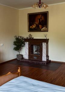 a room with a fireplace and a painting on the wall at Вілла де Кампо in Chynadiyovo