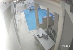 a teddy bear sitting on a table next to a swimming pool at Hotel El Elyon Ti Extra in Terrier Rouge