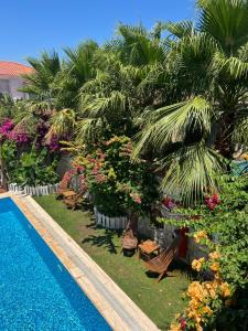 a resort yard with a swimming pool and palm trees at Windmill Alaçatı in Alaçatı