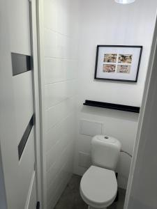 a bathroom with a toilet and a picture on the wall at Apartament Blue Velvet in Skierniewice