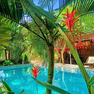 a swimming pool with a palm tree next to it at Ali Garden Homestay Trang An Ninh Bình in Xuân Sơn