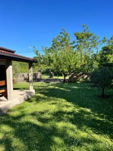 a yard with green grass and trees and a building at Konoba DB in Čapljina +15 photos