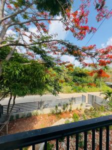 a fence in front of a garden with red flowers at Aladdin's Guest House in Coron