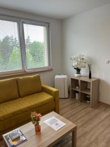 a living room with a couch and a table at Apartmán Třinec in Třinec +8 photos
