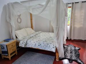 a bedroom with a bed with a canopy and a rug at Mary House in Arusha