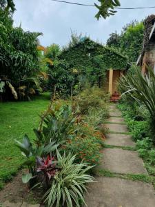 a path in a garden with plants and a house at Mary House in Arusha