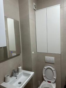 a bathroom with a toilet and a sink and a mirror at Apartman Lady A2 Istočno Sarajevo in Vranješ +6 photos