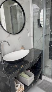 a bathroom with a sink and a mirror on a counter at Paris Dream Villa in Villejuif +26 photos