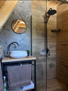 a bathroom with a shower and a sink at Villa Tara in Žabljak +77 photos