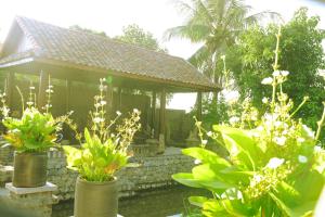 a gazebo with plants in front of a building at Y Van Cac Homestay Ninh Binh Art Heritage Rice Field in Ninh Binh +87 photos