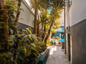 a hallway with palm trees and plants in a building at alojamento maritimo II in Espinho