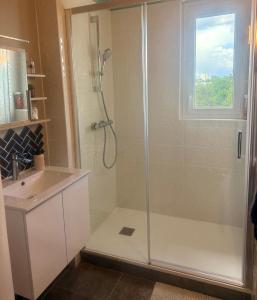 a bathroom with a shower and a sink at Douce Folie romantique in Limoges