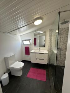 a bathroom with a toilet and a sink and a shower at Madalena House in Madalena do Mar