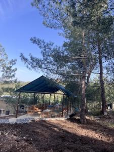 a pavilion with a blue canopy next to a tree at Horizon Pines in Al Qbayyāt