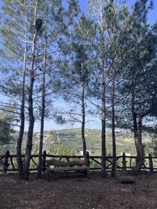 a wooden bench in front of a fence and trees at Horizon Pines in Al Qbayyāt
