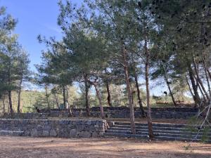 a stone retaining wall with trees in the background at Horizon Pines in Al Qbayyāt +2 photos