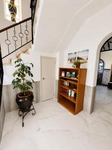 a hallway with a potted plant and a book shelf at Hostal Muriel in Aljaraque