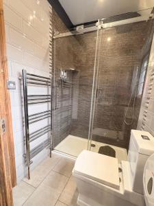 a bathroom with a shower and a toilet at Motel M69 in Leicester