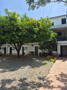 a building with a tree in front of it at caribepremiumvalledupar in Valledupar