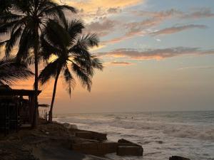 two palm trees on the beach at sunset at Quinto Hotel in Palomino +22 photos